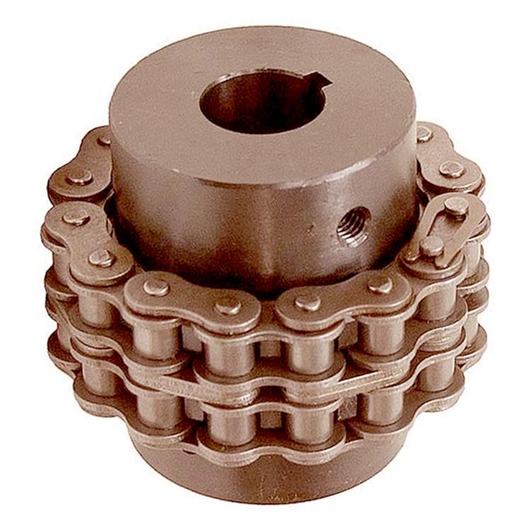 Roller Chain Coupling