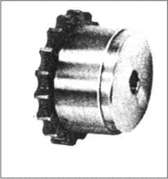 Roller Chain Coupling