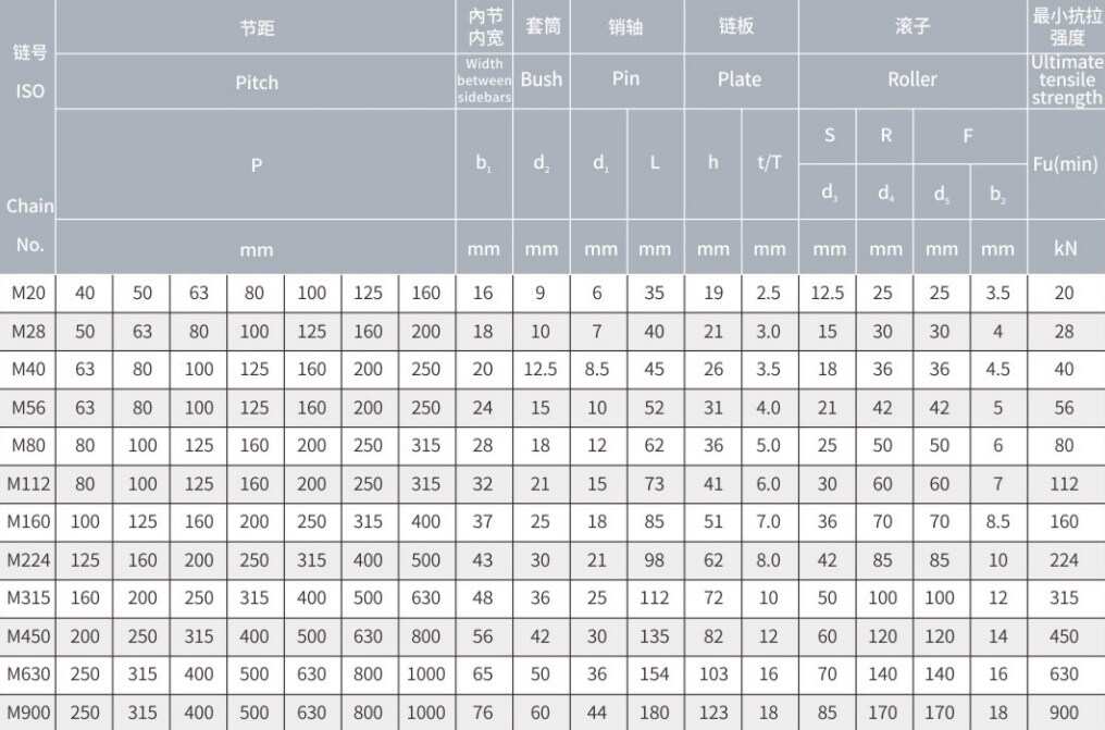 Promotional Various M Series hight quality roller chain plastic Conveyor chains and sprockets in steel and stainless steel