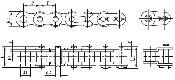 SS16B-1 B Series Stainless Steel Short Pitch Precision Single Roller Chain and Sprockets in Steel