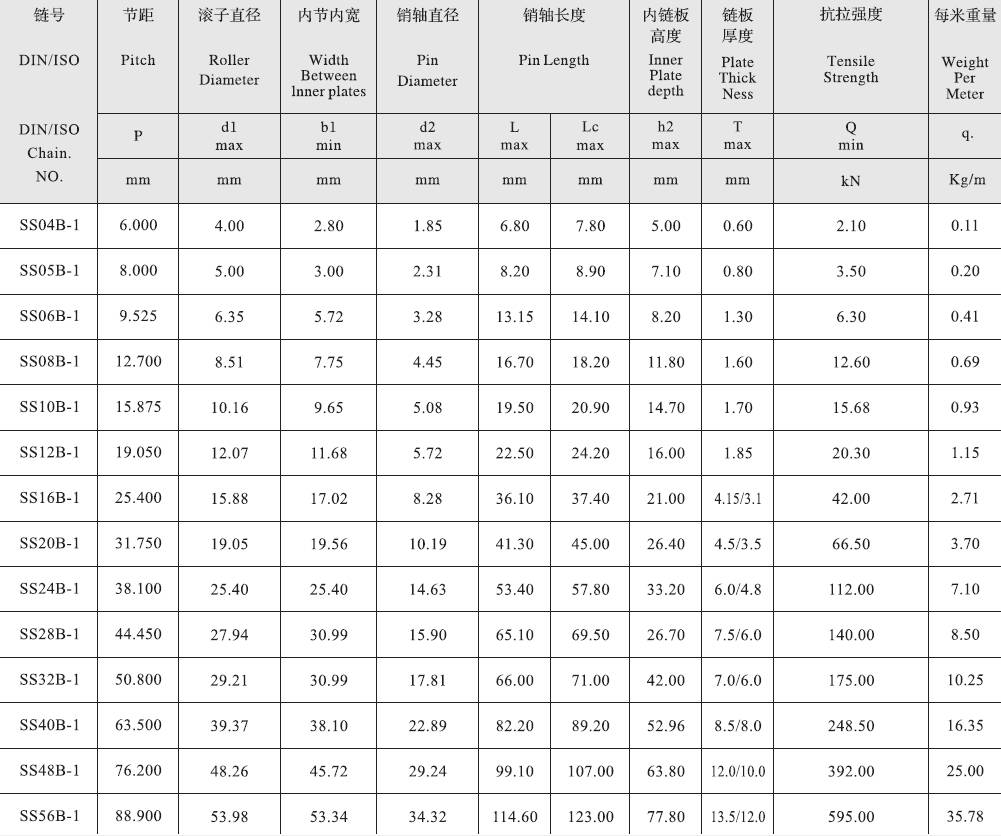 SS16B-1 B Series Stainless Steel Short Pitch Precision Single Roller Chain and Sprockets in Steel