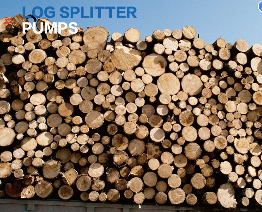 Log Splitter Pumps 250 bar Right Clockwise 5/28 Mpa Hydraulic Pumps for Sale