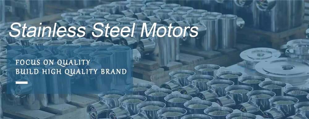 Factory Corrosion Resistance Food Grade Waterproof Ip69k B3 Foot Mounted IEC 304 Stainless Steel Motor for Food Processing Plant