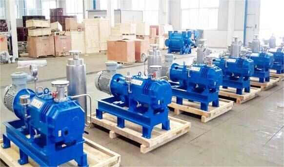 China Factory 150 L/s air Oil-free Screw Dry Rotary Piston Slide Dual Stage Rotary Vane Economy Valve Vacuum Pump for VPD