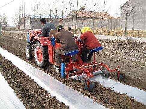 High Quality Potato Planter Cup Chain
