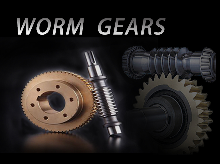 China Supplier Hardware mechanical parts processing precision gear customized worm gear