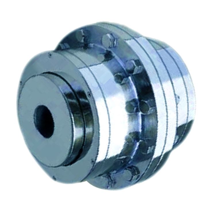 Flexible Gear Coupling