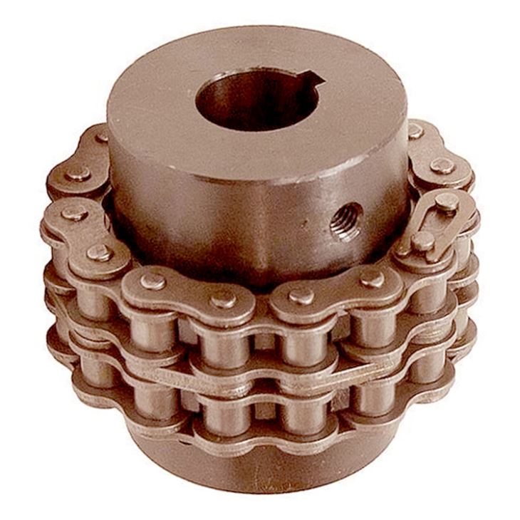 Roller Chain Coupling