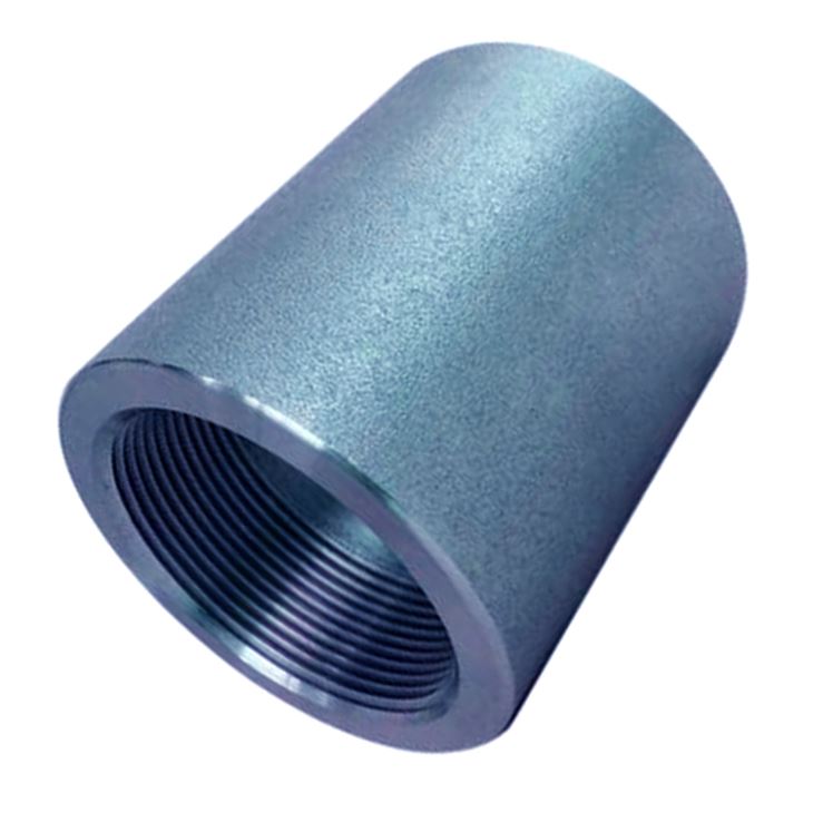 Stainless Steel Coupling